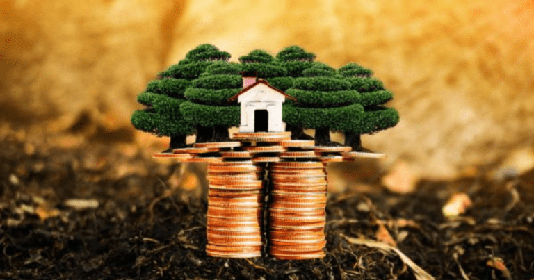 A miniature house with surrounding bushes placed on top of stacked coins. Get help with your financial planning from our small business accountants in Sydney.