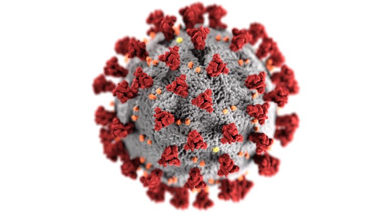 Picture of Corona Virus