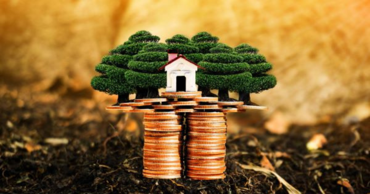 A miniature house with surrounding bushes placed on top of stacked coins. Get help with your financial planning from our small business accountants in Sydney.