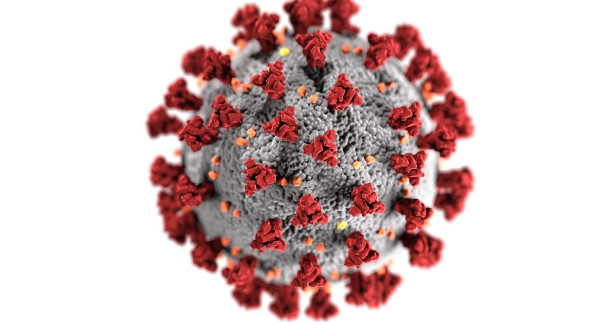 Picture of Corona Virus